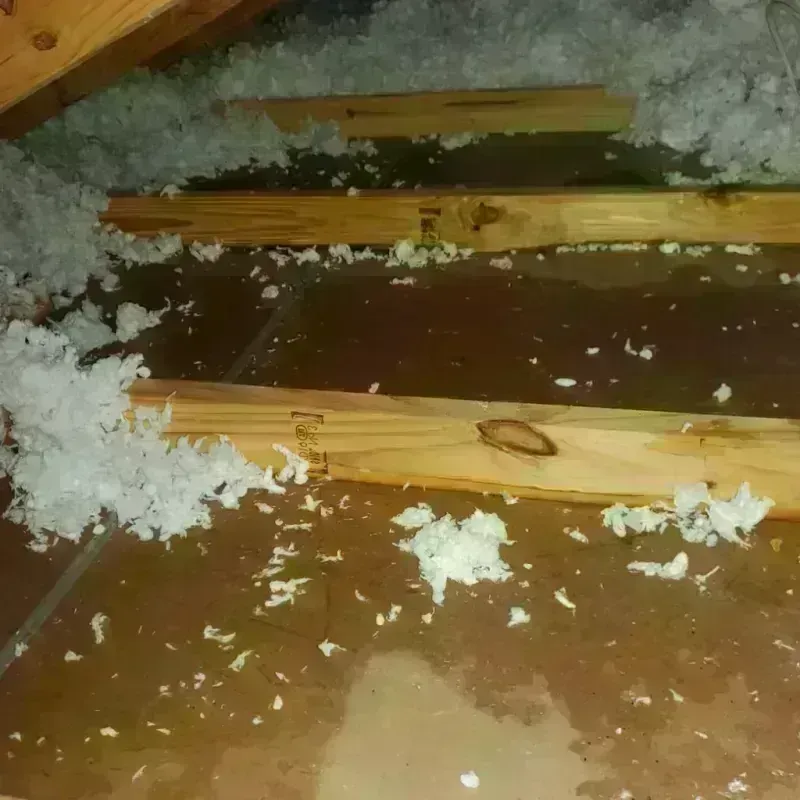 Attic Water Damage in Mount Orab, OH